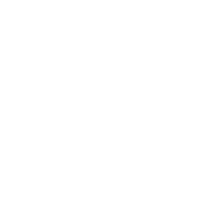 Fisioterapia especializada